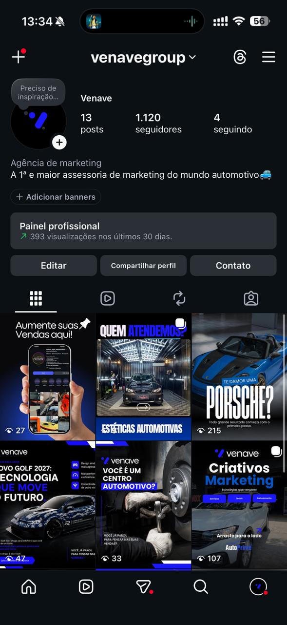 Instagram @venavegroup